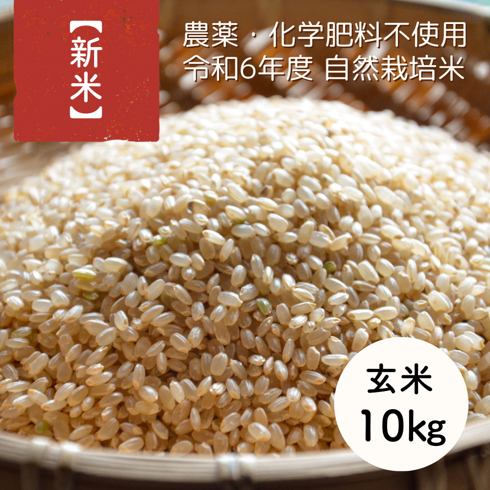 引取限定！大阪堺産　ヒノヒカリ　令和6年　玄米60kg 令和6年度産 新米 玄米ヒノヒカリ10kg