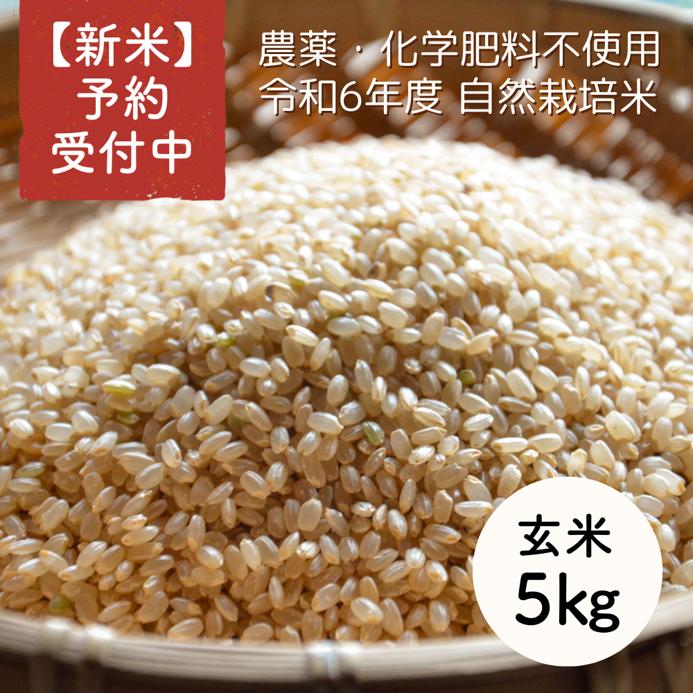 令和6年度産 新米 玄米ヒノヒカリ10kg 令和6年度産 新米玄米ヒノヒカリ10kg